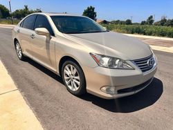 Salvage cars for sale from Copart Oklahoma City, OK: 2011 Lexus ES 350