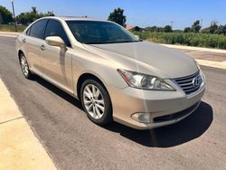 Salvage cars for sale at Oklahoma City, OK auction: 2011 Lexus ES 350