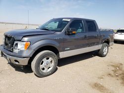 Salvage cars for sale at Greenwood, NE auction: 2011 Ford F150 Supercrew