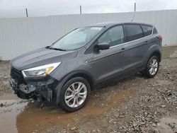 Buy Salvage Cars For Sale now at auction: 2019 Ford Escape SE