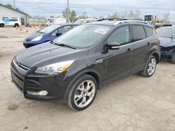 Salvage cars for sale at Pekin, IL auction: 2014 Ford Escape Titanium