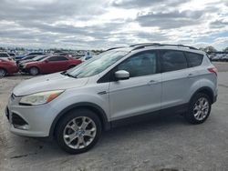 Vehiculos salvage en venta de Copart Sikeston, MO: 2013 Ford Escape SE