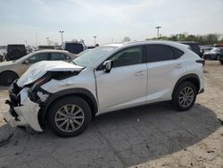 Salvage cars for sale at Indianapolis, IN auction: 2019 Lexus NX 300 Base