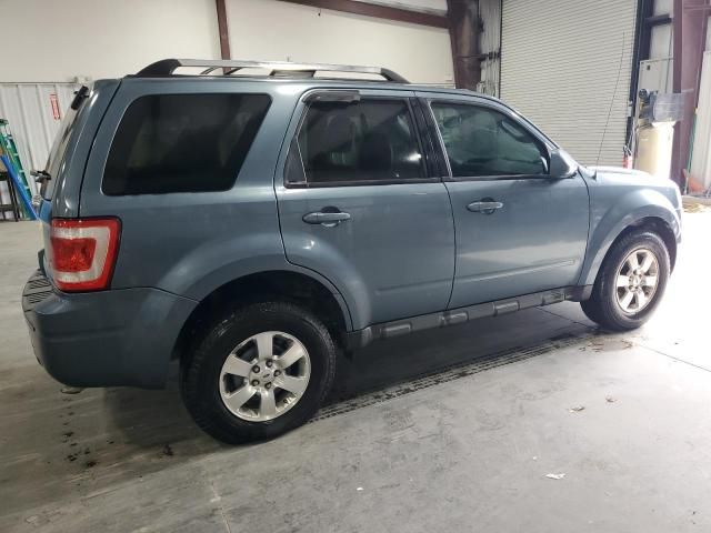 2011 Ford Escape Limited