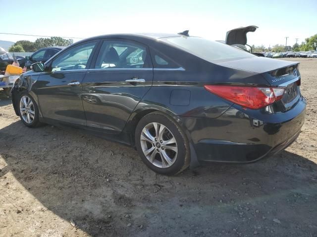 2013 Hyundai Sonata SE