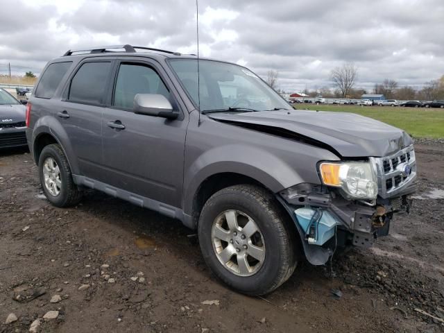 2011 Ford Escape Limited