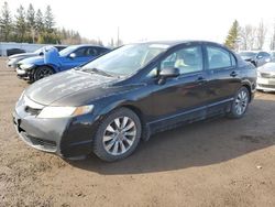 Honda Civic exl salvage cars for sale: 2009 Honda Civic EXL