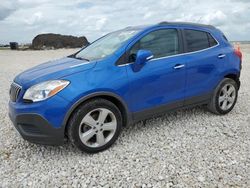 Salvage cars for sale at New Braunfels, TX auction: 2015 Buick Encore