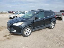 Salvage cars for sale from Copart Amarillo, TX: 2014 Ford Escape SE
