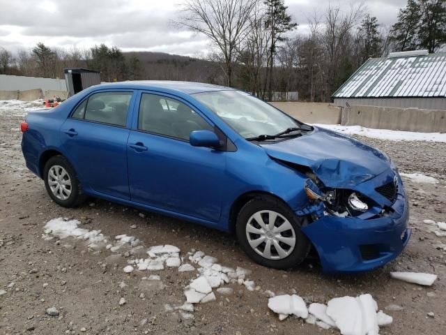 2010 Toyota Corolla Base