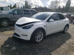 Salvage cars for sale from Copart Graham, WA: 2023 Tesla Model Y