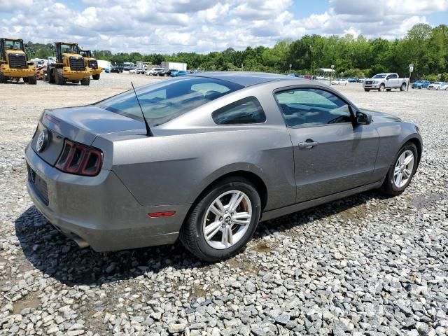 2013 Ford Mustang