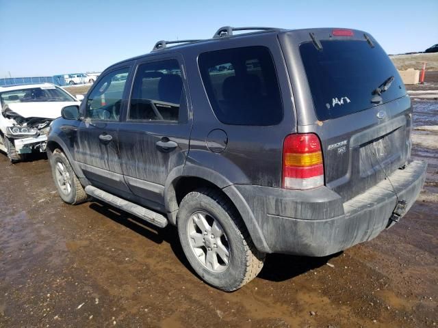 2006 Ford Escape XLT