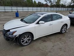 Nissan salvage cars for sale: 2013 Nissan Maxima S