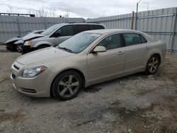 Vehiculos salvage en venta de Copart Nisku, AB: 2009 Chevrolet Malibu 2LT