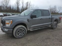 Salvage cars for sale at Leroy, NY auction: 2021 Ford F150 Supercrew