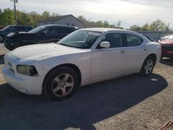 Salvage cars for sale at York Haven, PA auction: 2010 Dodge Charger