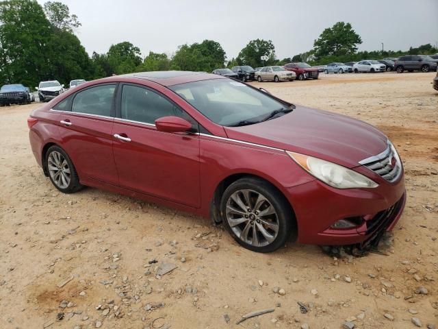 2011 Hyundai Sonata SE