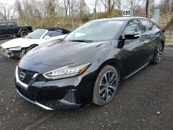 Salvage cars for sale from Copart Marlboro, NY: 2023 Nissan Maxima SV