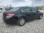 2010 Honda Accord LXP