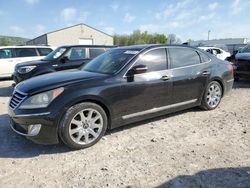 Salvage cars for sale at Lawrenceburg, KY auction: 2011 Hyundai Equus Signature