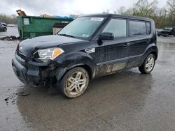 Salvage cars for sale at Ellwood City, PA auction: 2011 KIA Soul +