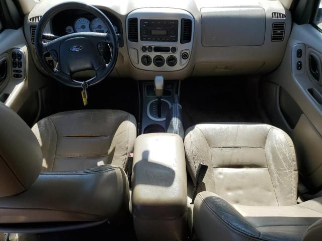 2005 Ford Escape XLT