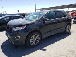 Salvage cars for sale at Anthony, TX auction: 2015 Ford Edge SEL