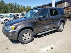 Salvage cars for sale from Copart Eldridge, IA: 2006 Ford Escape XLT