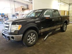 Salvage trucks for sale at Ham Lake, MN auction: 2013 Ford F150 Supercrew