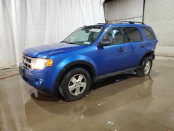 Salvage cars for sale at Central Square, NY auction: 2012 Ford Escape XLT