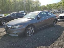 Salvage cars for sale at Finksburg, MD auction: 2012 Honda Accord EXL