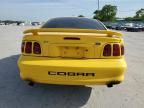 1998 Ford Mustang Cobra