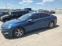 Chevrolet salvage cars for sale: 2019 Chevrolet Malibu LS