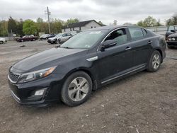 Salvage cars for sale from Copart York Haven, PA: 2014 KIA Optima Hybrid