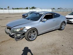 Salvage cars for sale at Bakersfield, CA auction: 2008 Honda Accord EXL