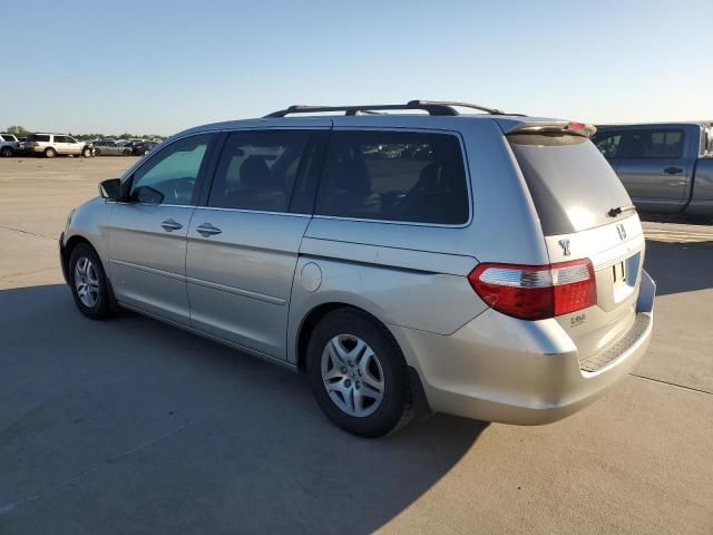 2005 Honda Odyssey EXL