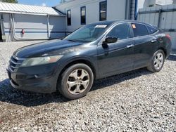 Salvage cars for sale from Copart Prairie Grove, AR: 2010 Honda Accord Crosstour EXL