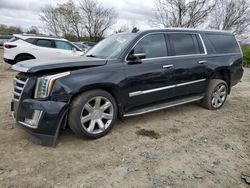 Cadillac Escalade salvage cars for sale: 2018 Cadillac Escalade ESV Luxury