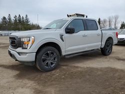 Ford f-150 salvage cars for sale: 2023 Ford F150 Supercrew