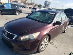 Salvage cars for sale at New Orleans, LA auction: 2010 Honda Accord EXL