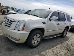 Cadillac Escalade salvage cars for sale: 2010 Cadillac Escalade