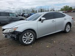 Salvage cars for sale at Baltimore, MD auction: 2014 Lexus ES 300H