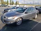 2008 Honda Accord EX