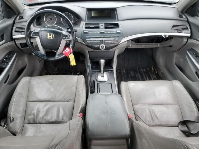 2009 Honda Accord EXL