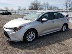 Salvage cars for sale from Copart London, ON: 2022 Toyota Corolla LE
