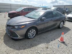 Salvage cars for sale at Arcadia, FL auction: 2023 Toyota Camry LE