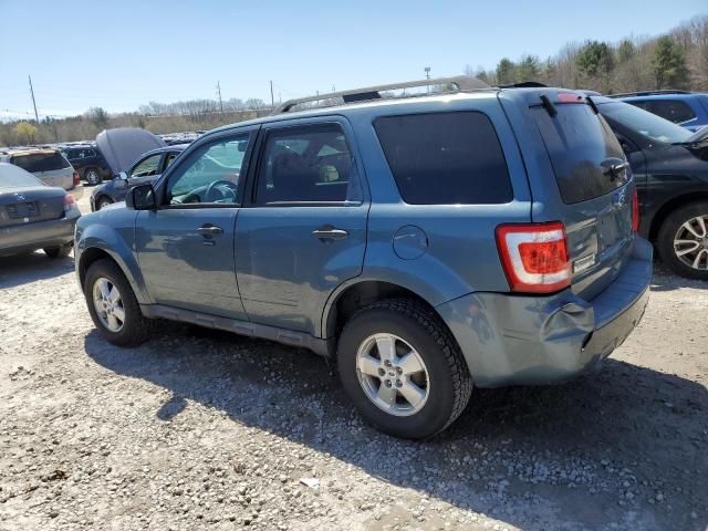 2010 Ford Escape XLT