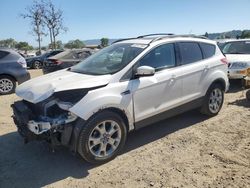 Salvage cars for sale at San Martin, CA auction: 2013 Ford Escape SEL