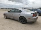 2014 Dodge Charger R/T